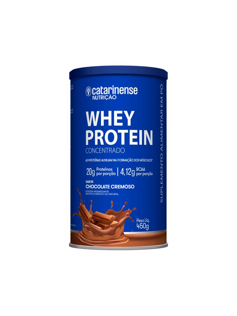 WHEY PROT CHOC PO 450G