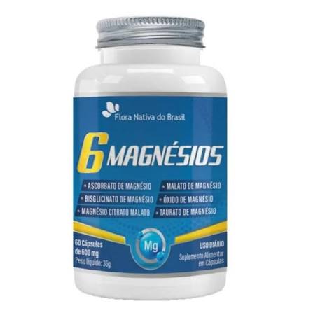 6 MAGNESIOS 600MG 60CAP